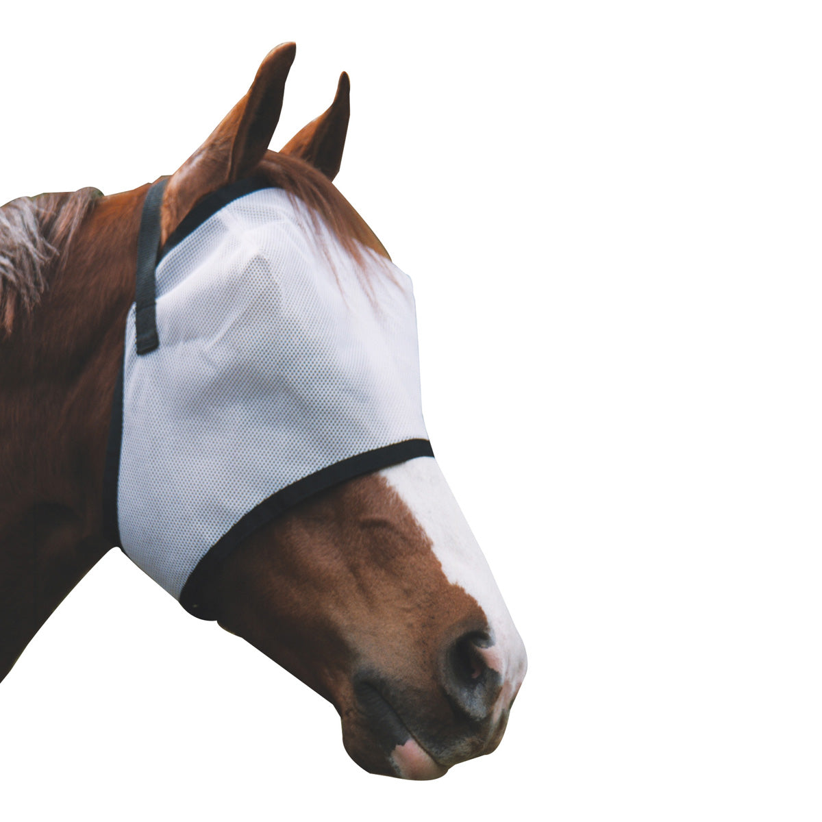 Showcraft - Deluxe Flymask - Small Miniature