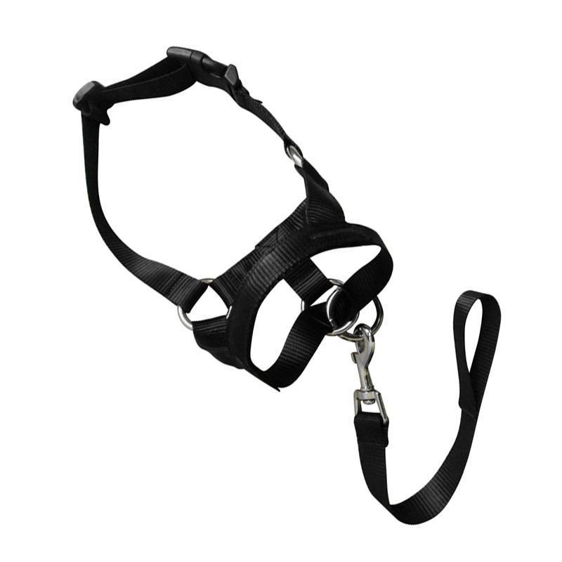 Black Dog Training Head Collar Halter Stop Pulling Training Tool Harness Strap Leader - S