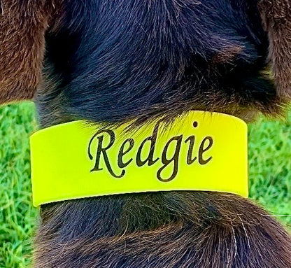 FAF BioThane Heavy Duty Handmade Collar