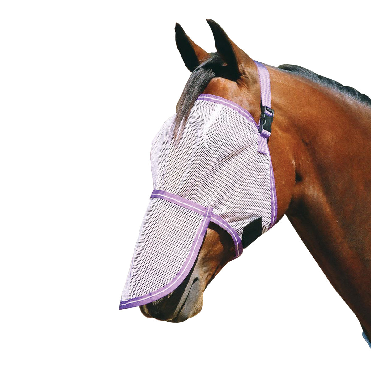Eureka - Flymask & Nose Protector Set