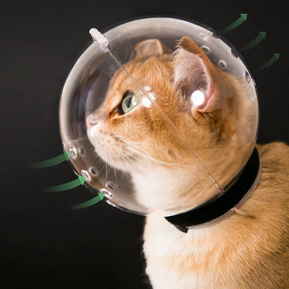 Cat muzzle - With breathable hood - Adjustable astronaut helmet for kittens - Prevents your pet from gnawing at and licking its fur - Spherical face mask - Suitable for aggressive cats (L)