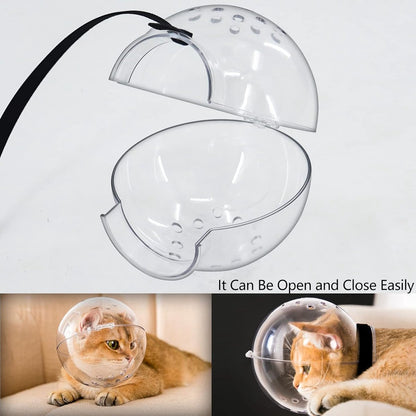 Cat muzzle - With breathable hood - Adjustable astronaut helmet for kittens - Prevents your pet from gnawing at and licking its fur - Spherical face mask - Suitable for aggressive cats (L)