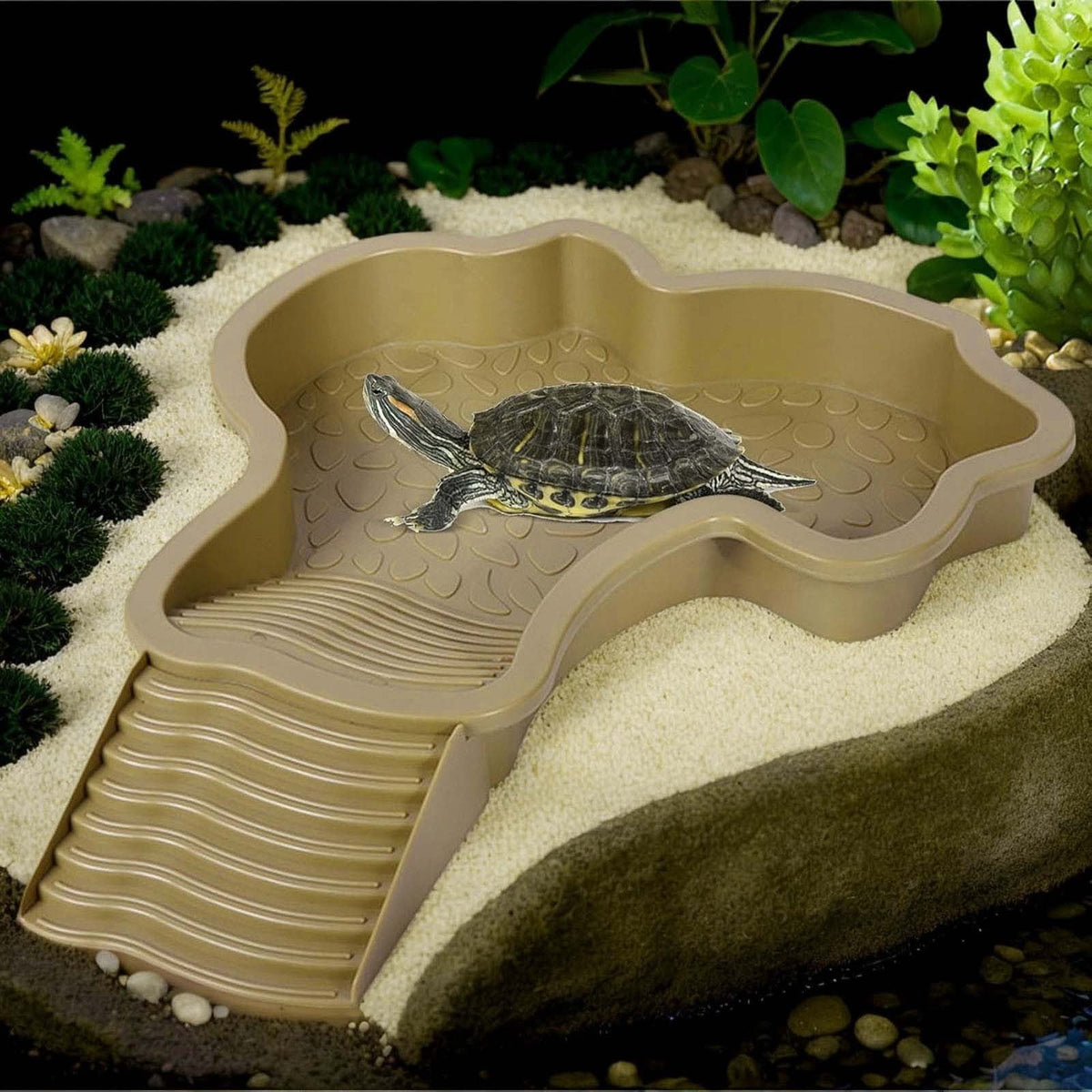 Darzheoy Reptile Bathing Pool Turtle Bath Amphibians Accessories with Ramp Tortoise Feeder Lizards Habitat for Tortoise Scorpion Snake B