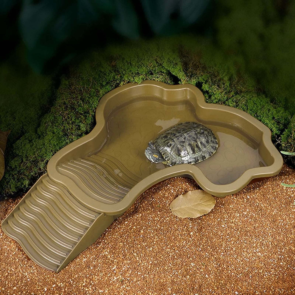 Darzheoy Reptile Bathing Pool Turtle Bath Amphibians Accessories with Ramp Tortoise Feeder Lizards Habitat for Tortoise Scorpion Snake B