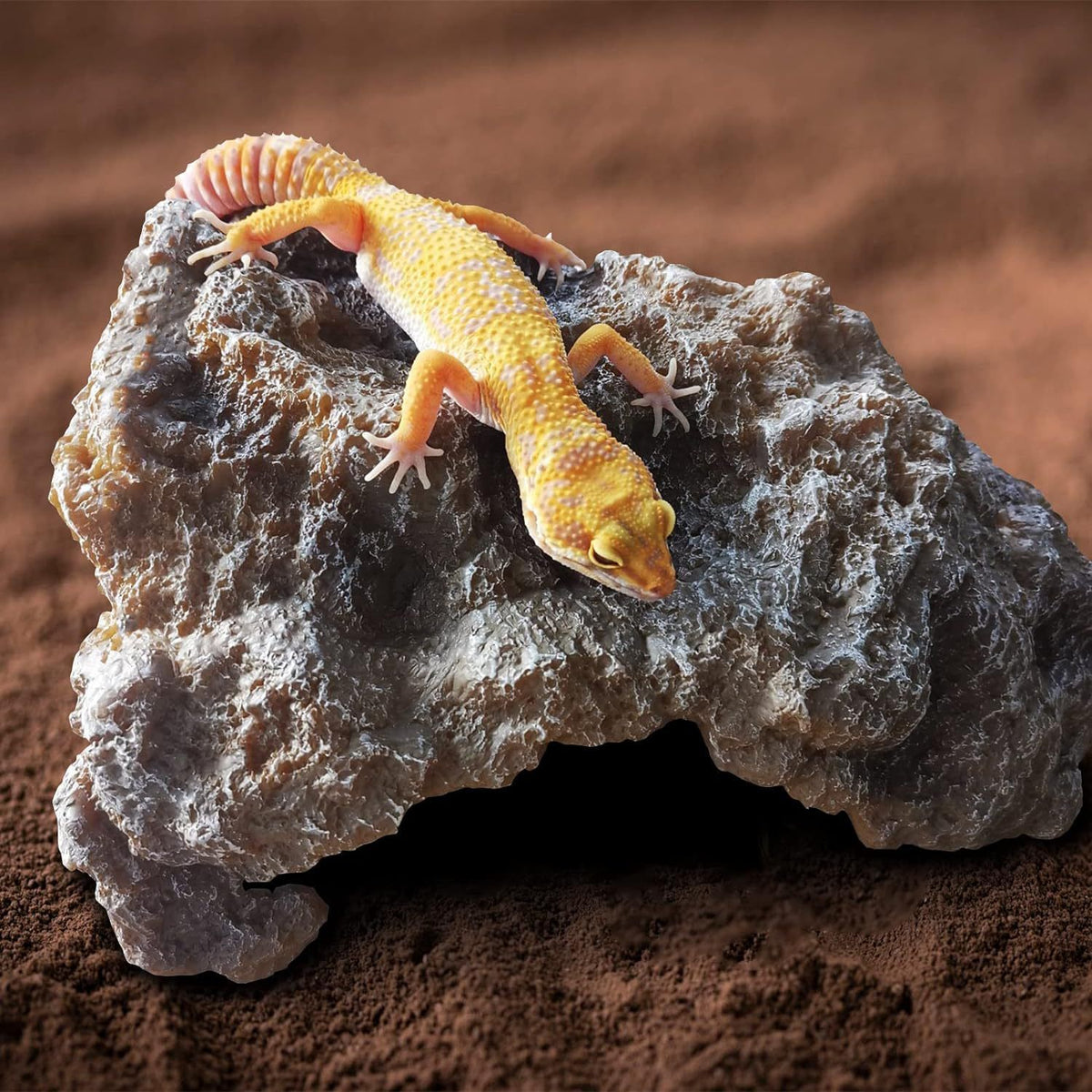 Reptile Hide Cave, Large Resin Bearded Dragon Hideout Rock Caves Snake Hide, Natural Terrarium Habitat Decor Ornament for Leopard Gecko Lizard Turtle Frog,  (S)