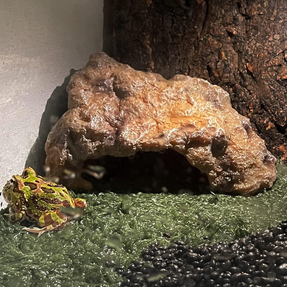 Reptile Hide Cave, Large Resin Bearded Dragon Hideout Rock Caves Snake Hide, Natural Terrarium Habitat Decor Ornament for Leopard Gecko Lizard Turtle Frog,  (S)
