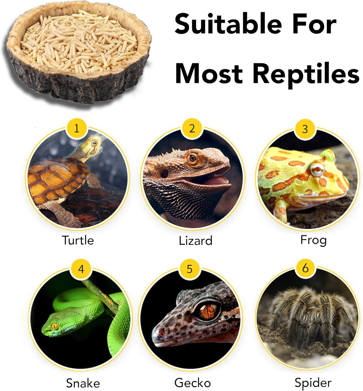 2 Pack Reptile Water and Food Bowls, Novelty Food Bowl for Lizards, Young Bearded Dragons, Small Snakes and More - Made from BPA-Free Plastic