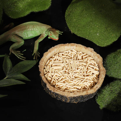 2 Pack Reptile Water and Food Bowls, Novelty Food Bowl for Lizards, Young Bearded Dragons, Small Snakes and More - Made from BPA-Free Plastic