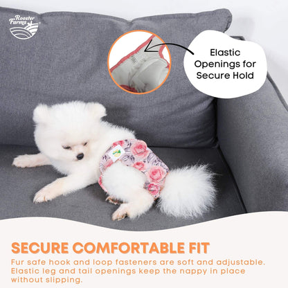 Rooster Farms Female Dog Diapers Medium 3Pk - Washable Reusable Nappy Hook/Loop