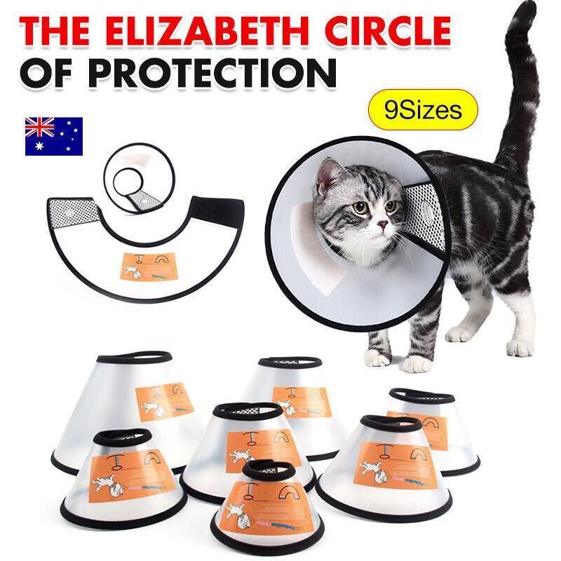 Pet Cat Dog Protective Cone Collar Elizabethan E Collar Wound Healing Recovery - Large