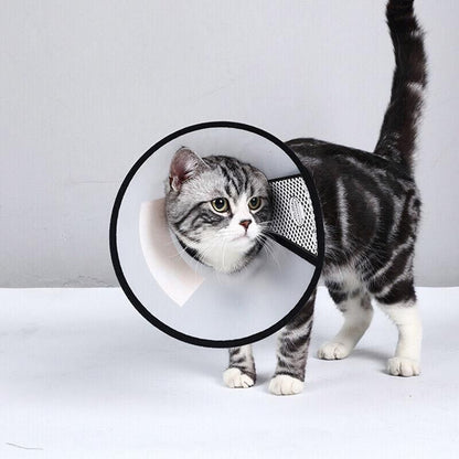 Pet Cat Dog Protective Cone Collar Elizabethan E Collar Wound Healing Recovery - Large