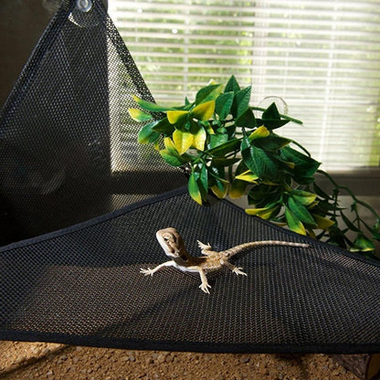 2x Reptile Hammock for Small Large Bearded Dragon Lizard Reptile Snakes Black - Small