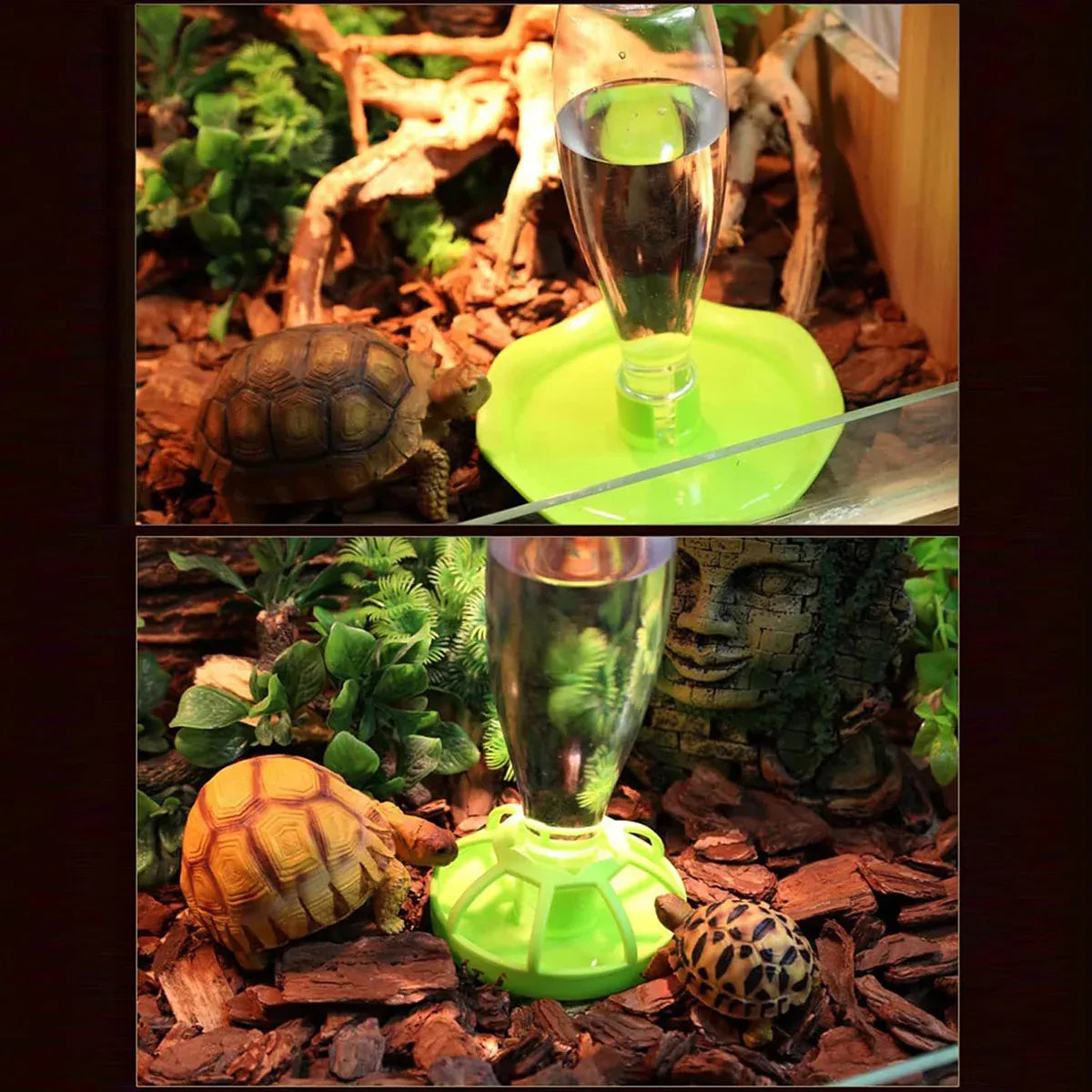 Reptile Water Bowl with Bottle for Lizard Gecko Snake Inverted Bottle Dispenser - Green Lotus Leaf