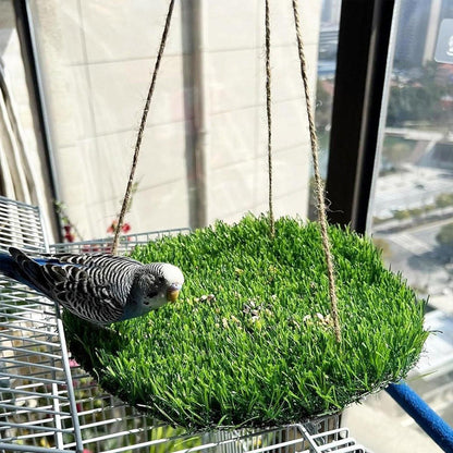 Parrot Turf Hammock Climbing Toy for Hamster Pet Bed Hanging Swing for Small Pet - Roundness
