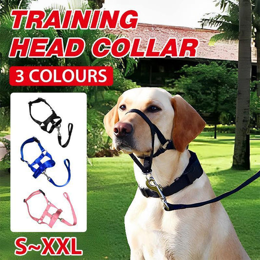 Black Dog Training Head Collar Halter Stop Pulling Training Tool Harness Strap Leader - S