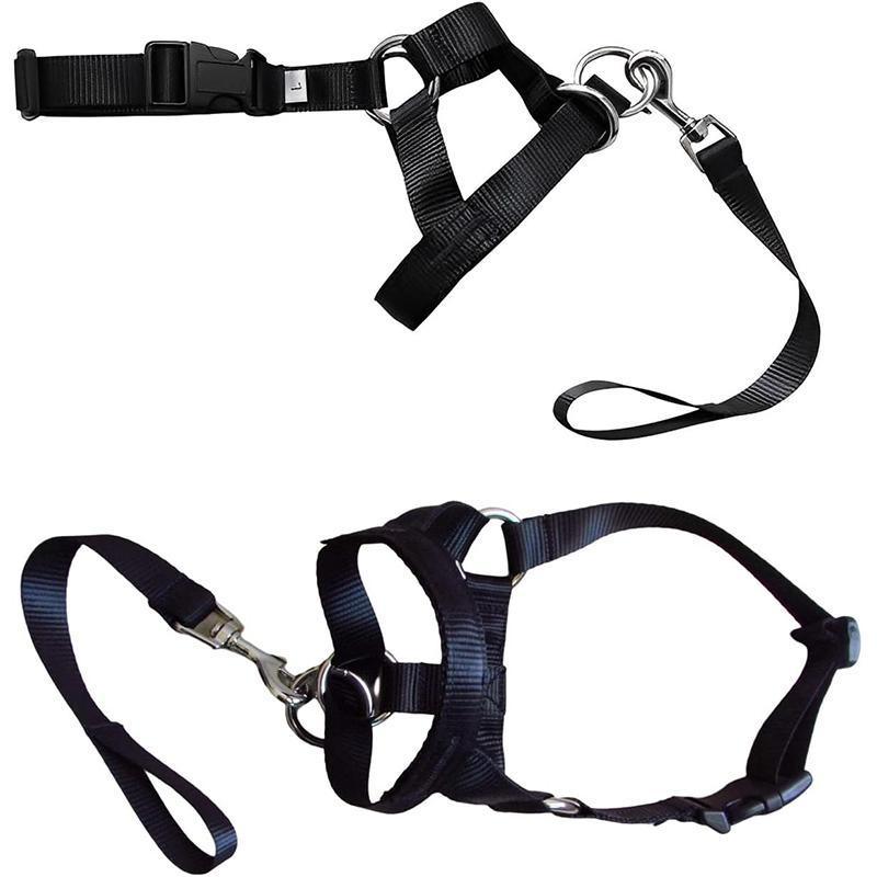 Black Dog Training Head Collar Halter Stop Pulling Training Tool Harness Strap Leader - S