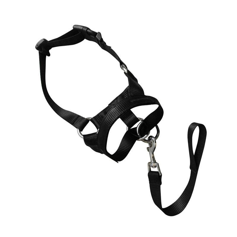 Black Dog Training Head Collar Halter Stop Pulling Training Tool Harness Strap Leader - S