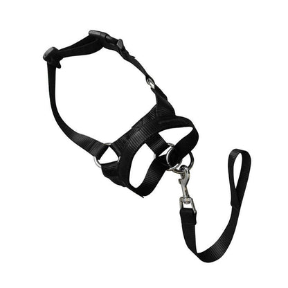Black Dog Training Head Collar Halter Stop Pulling Training Tool Harness Strap Leader - S