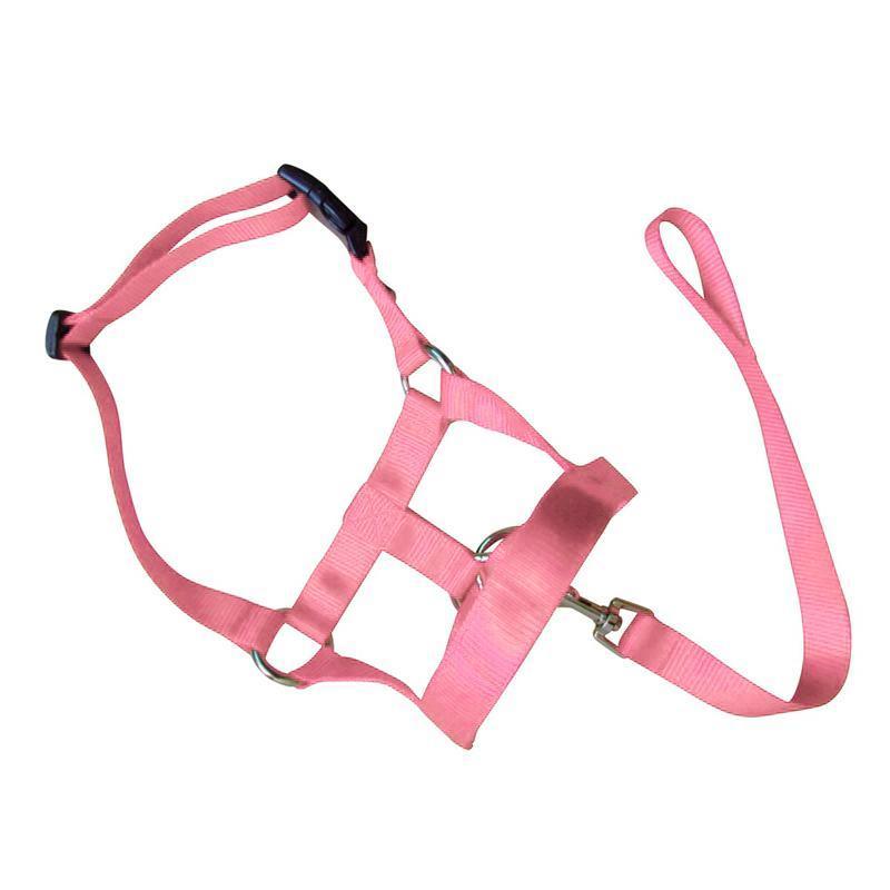 Pink Dog Training Head Collar Halter Stop Pulling Training Tool Harness Strap Leader - S