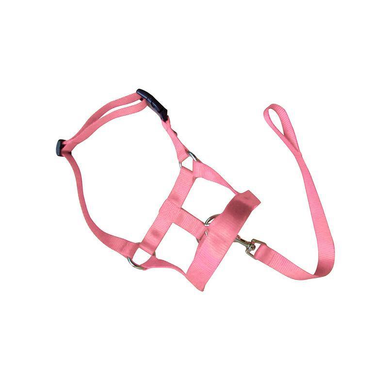 Pink Dog Training Head Collar Halter Stop Pulling Training Tool Harness Strap Leader - M