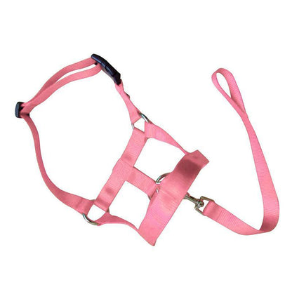 Pink Dog Training Head Collar Halter Stop Pulling Training Tool Harness Strap Leader - M
