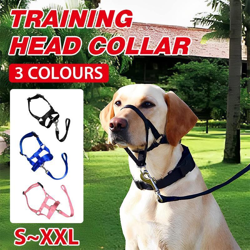 Pink Dog Training Head Collar Halter Stop Pulling Training Tool Harness Strap Leader - L
