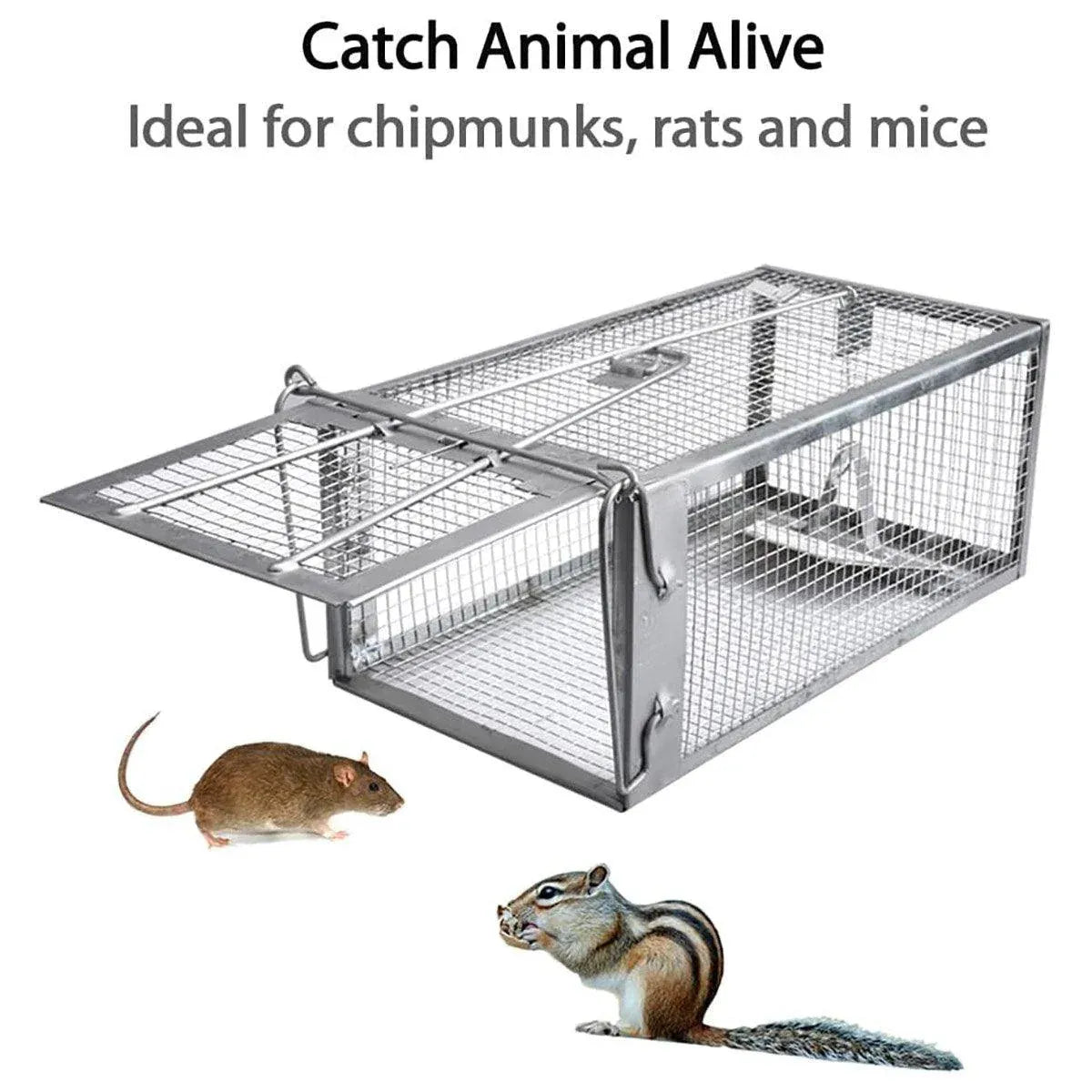 Humane Rat Trap Cage Live 1 Door Animal Catch Pest Rodent Mouse Bait Control Box