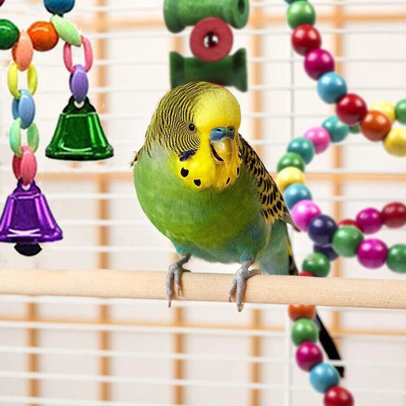 10pcs Parrot Toys Set Swing Ladder Chew Bell Toys for Cockatiels Budgies Cages
