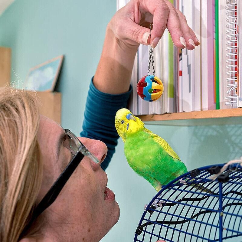 10pcs Parrot Toys Set Swing Ladder Chew Bell Toys for Cockatiels Budgies Cages