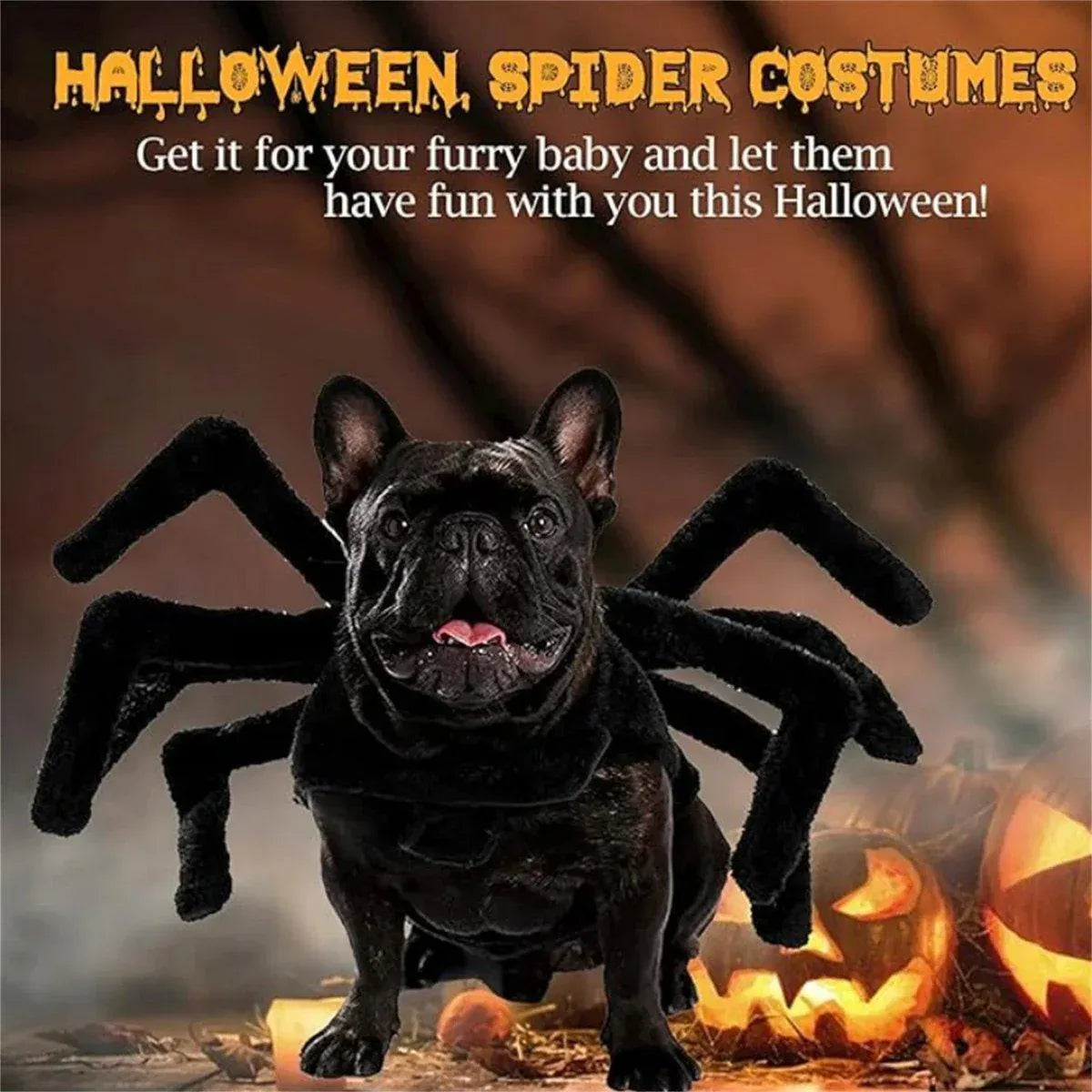 Pet Spooky Big Spider Halloween Costume Dress Up for Dogs Cats and Small Pets - L