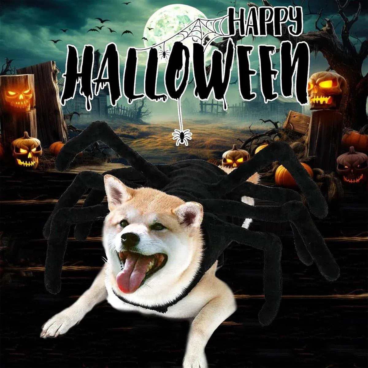 Pet Spooky Big Spider Halloween Costume Dress Up for Dogs Cats and Small Pets - L