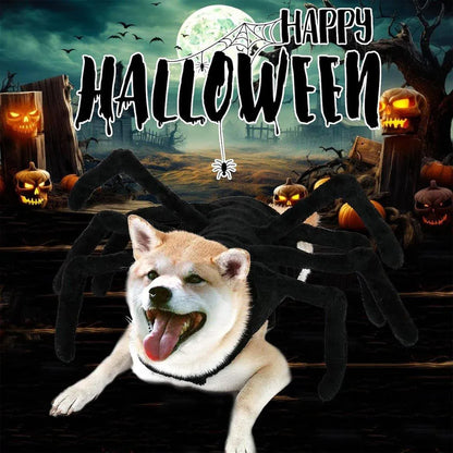 Pet Spooky Big Spider Halloween Costume Dress Up for Dogs Cats and Small Pets - L