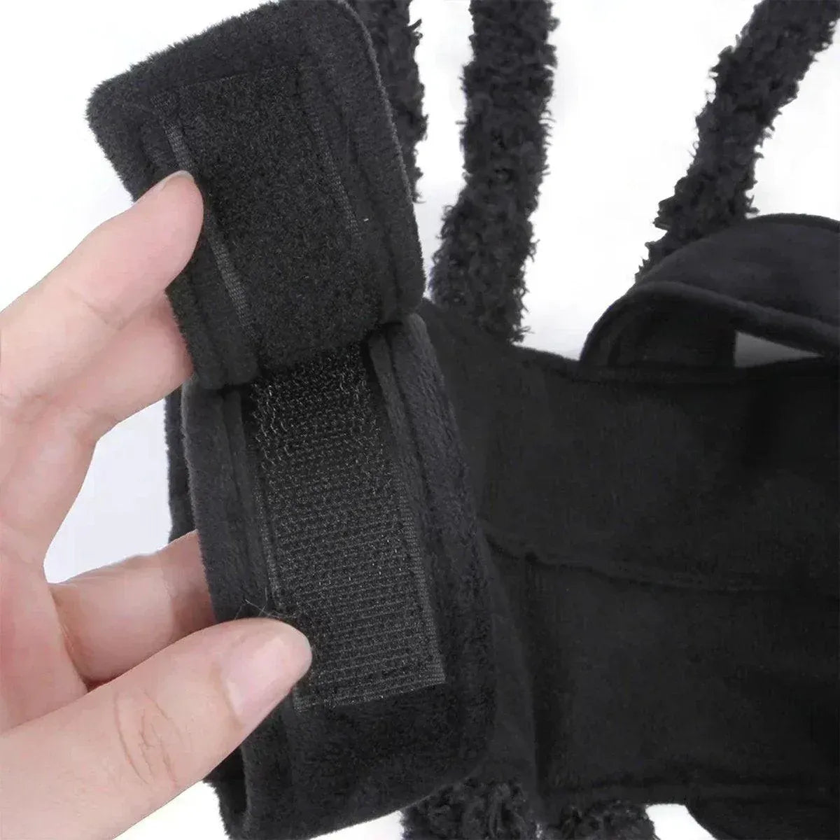 Pet Spooky Big Spider Halloween Costume Dress Up for Dogs Cats and Small Pets - L