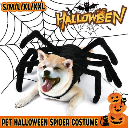 Pet Spooky Big Spider Halloween Costume Dress Up for Dogs Cats and Small Pets - L