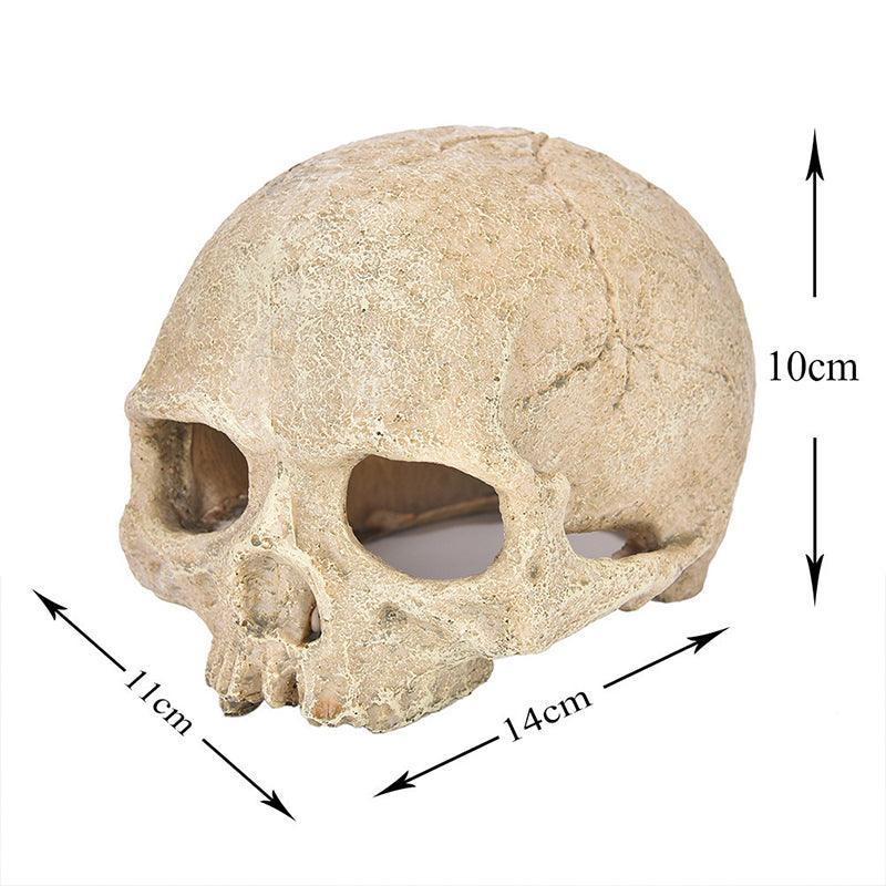 Artificial Fake Skull Head Bone Aquarium Ornament Fish Tank Decoration - Hat